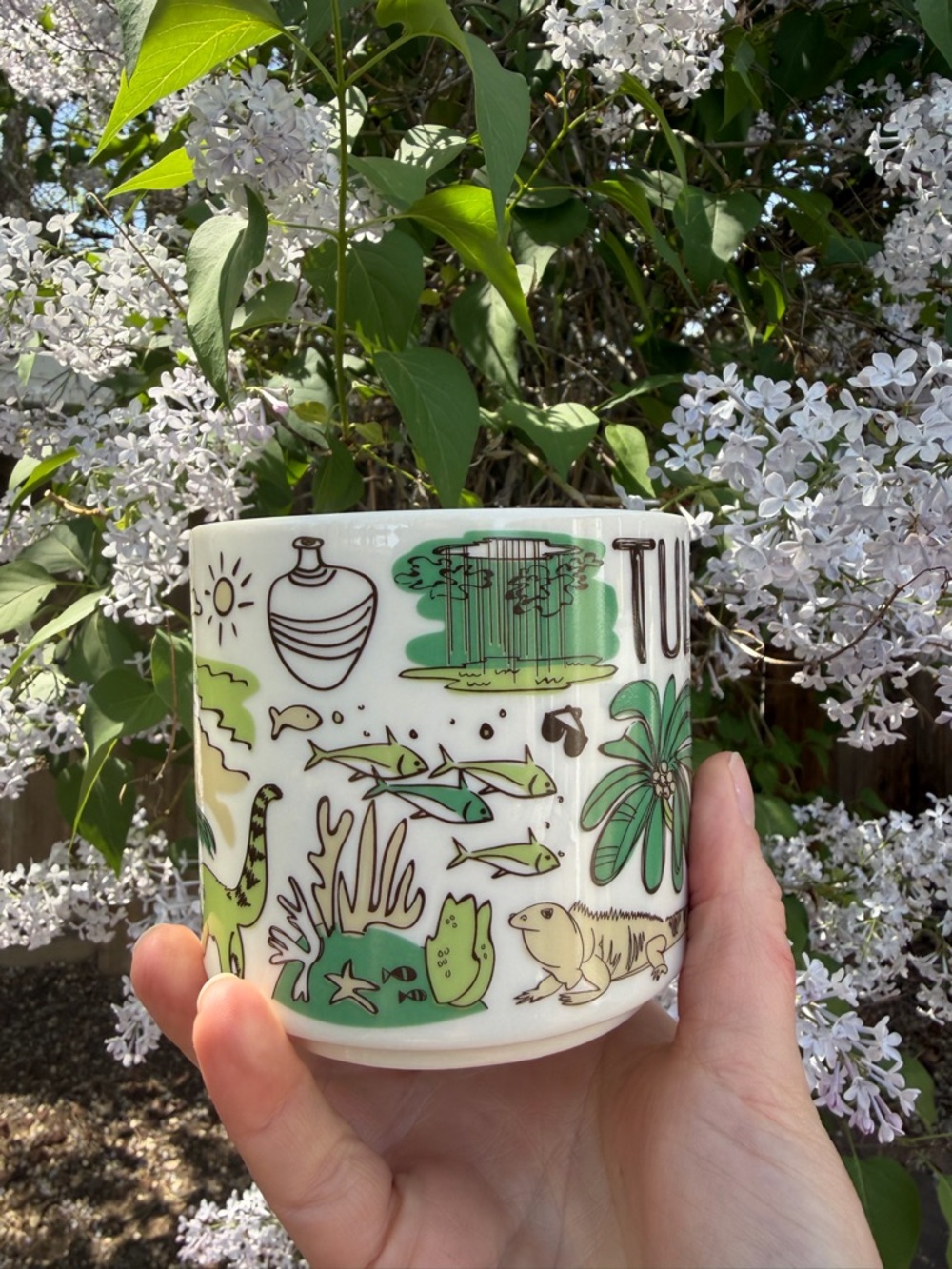 Starbucks been there series mug tulum across the globe series like new - Picture 8 of 8